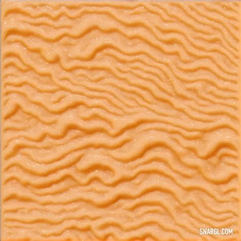 PANTONE 7564: Color Information, Compatibility, and Examples | Article 7564