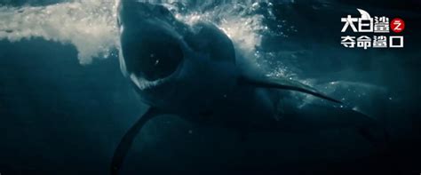 《大白鲨之夺命鲨口》 “大白鲨”归来_深海_的飞机_人们