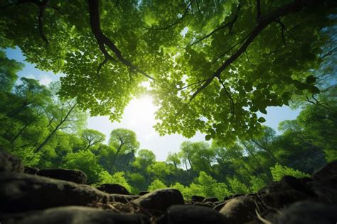 Green Environment 的图像结果