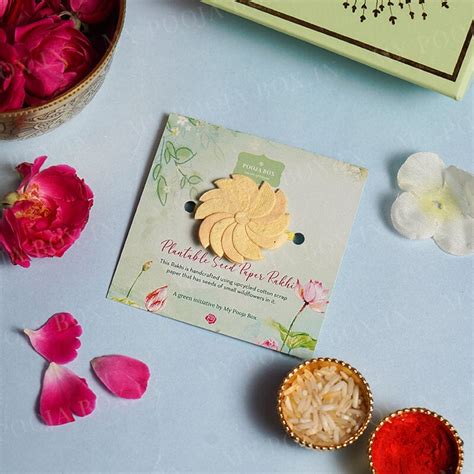 Buy Eco-Friendly Plantable Seed Wheely Wonka Rakhi Online in India ...