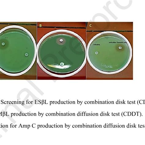 Image result for Disk Diffusion Method Interpretation