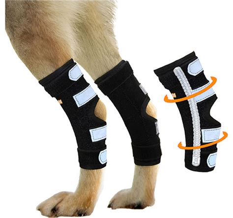 Dog Rear Leg Brace [Long Version] With Metal Spring Strips (Pair ...