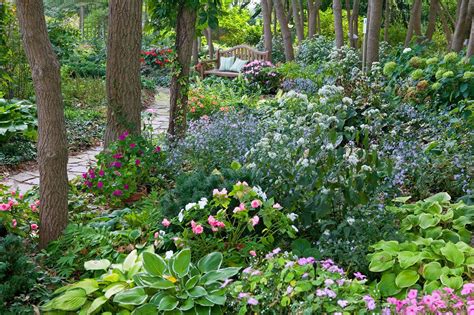 23 Perennials for Shade Garden Ideas Worth to Check | SharonSable