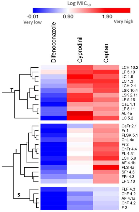 Unconventional Yeasts Are Tolerant to Common Antifungals, and ...