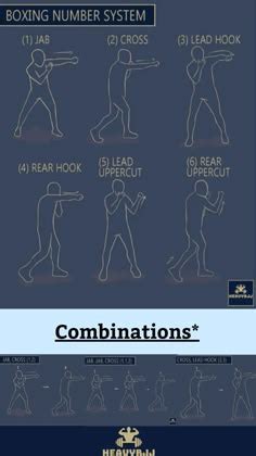 Basic Boxing Punches 的图像结果