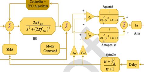 Dynamic Model Tools 的图像结果