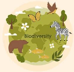 Biodiversity and Conservation Chapter Notes - NEET PDF Download
