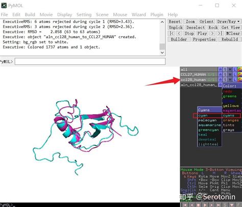PyMOL Structure Alignment 的图像结果