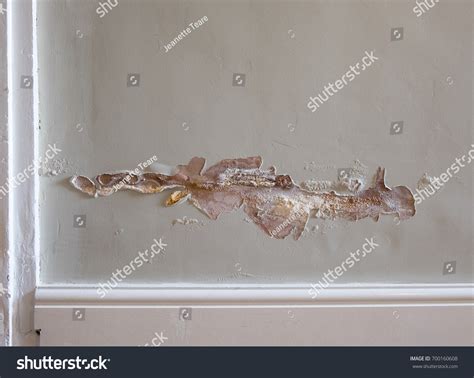 Image result for Damp Course Problems