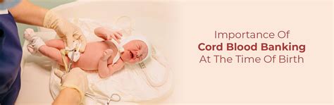 What is Stem Cell Banking? Know Significance of Stem Cell Preservation