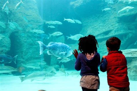 2023 Cape Town Full Day Family Fun With Kids Private Tour
