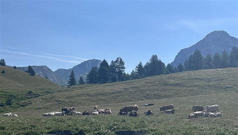 QUEYRAS NATIONAL PARK - All You Need to Know BEFORE You Go 2026 (with ...