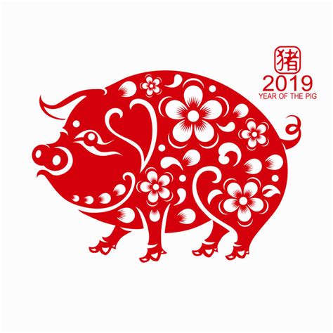 2019猪年海报_素材中国sccnn.com