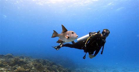 Scuba Diving Experience in Dubai - Klook