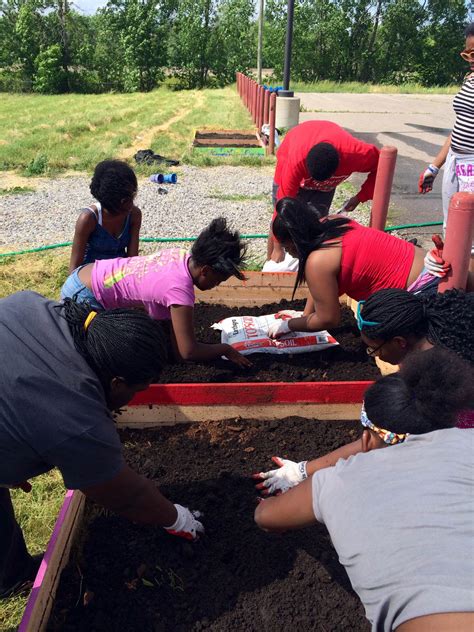 Improve Community 的图像结果