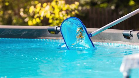 5 Pool Cleaning Tools Every Homeowner Needs - Aqua Leisure Pools and Spas