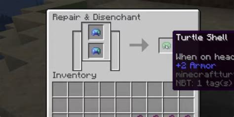 Image result for How to Craft a Turtle Shell in Minecraft