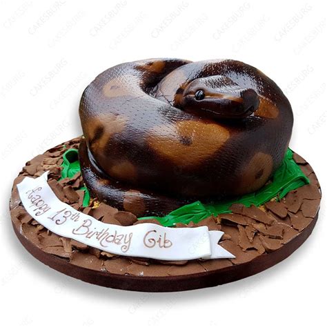 Image result for Python Snackes