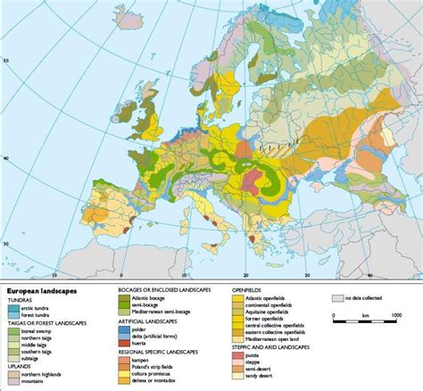 European Language 的图像结果