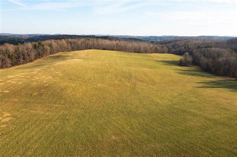 Stunning Farm For Sale In Floyd County Va!