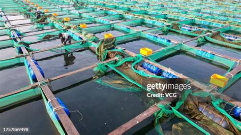 Image result for Note Block Fish Farm