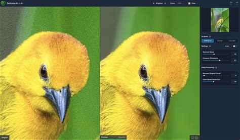 Topaz AI Tutorial 的图像结果
