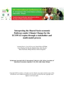 Interpreting the Shared Socio-economic Pathways under Climate Change ...