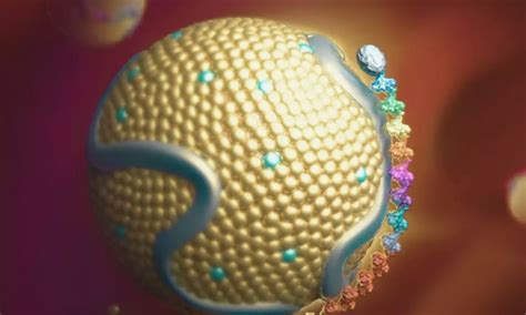 Zerlasiran Achieves Over 80 Percent Reduction in Lipoprotein(a) Levels ...