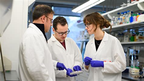 Image result for Bioengineering PhD Programs