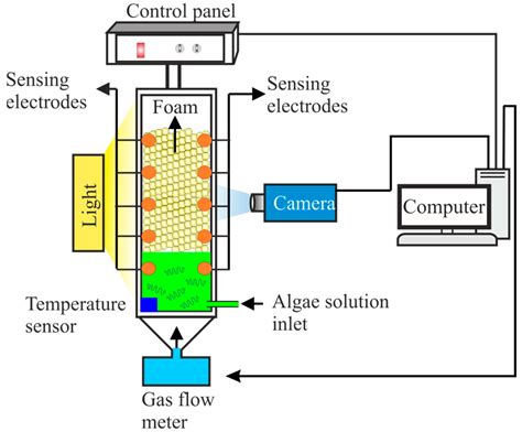 Dynamic Foam Characteristics during Cultivation of Arthrospira platensis