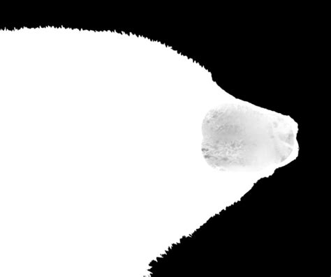 Image result for Select Then Mask Tutorial