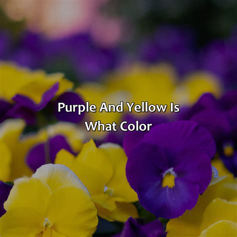 Green And Yellow Makes What Color - colorscombo.com