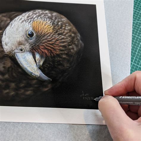 Quirky tūī duo - fine art prints - Art by Judi Lapsley Miller