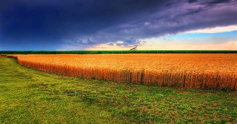 American Agriculture 的图像结果