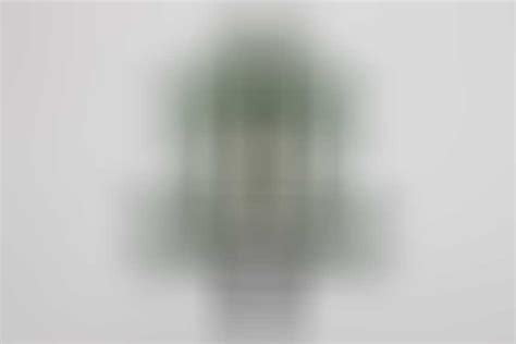 ratisbon's | HJ Landjahr wall decoration - Othala rune with a sword ...