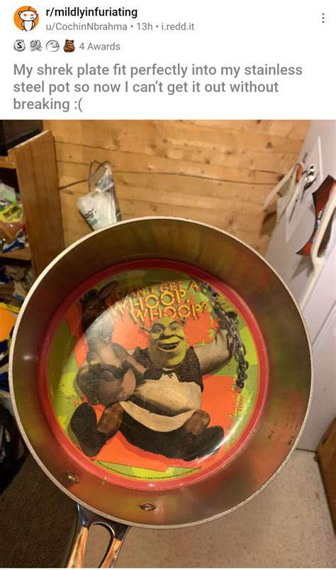 Reddit user's Shrek plate fit into their stainless steel pot : r/lifebytodd