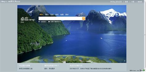 Bing图片搜索 的图像结果