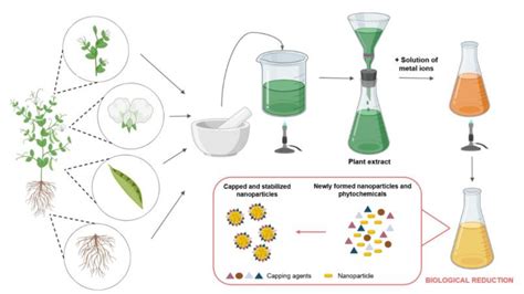 Nanoparticles Synthesis 的图像结果