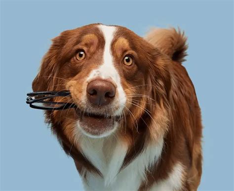 Image result for CSS Animation Example