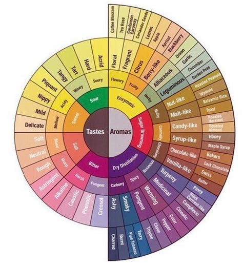 Tastes Aromas - The Success Manual