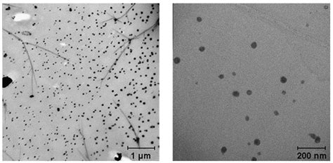 Designing pH-Dependent Systems Based on Nanoscale Calcium Carbonate for ...