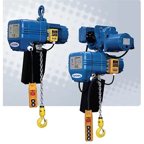 Electric Chain Hoist Importer, Manufacturer, Service Provider ...