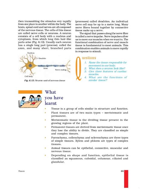 Image result for Class 9 Science Chapter 6