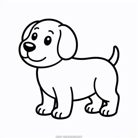 Dog Easy Drawings | Easy Drawings