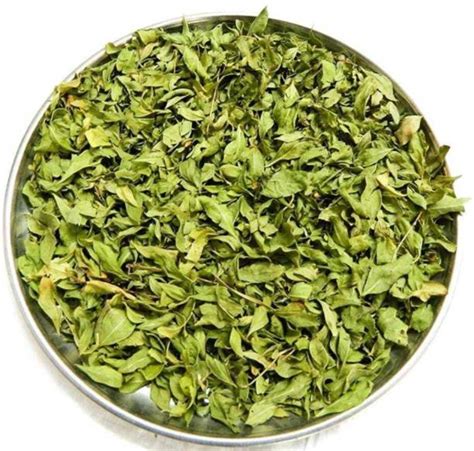 Henna Stencils - Buy Henna Stencils online at Best Prices in India ...