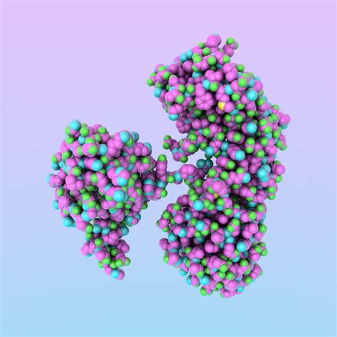 Diphtherie: Es gibt sie noch! - - Universimed - Medizin im Fokus