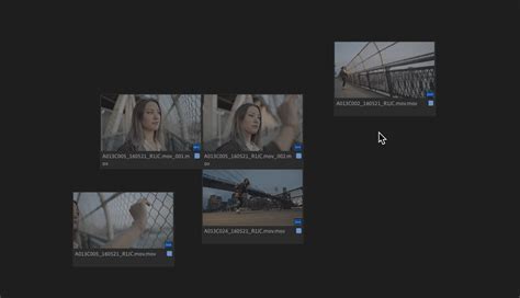 Working in the Project panel