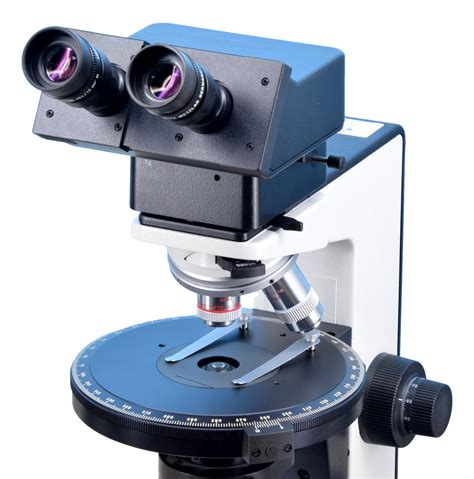 Polarizing Light Microscope 的图像结果