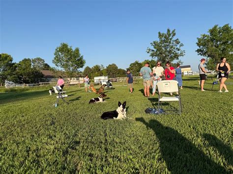 AKC Star Puppy Kindergarten , High Plains K-9 Connections LLC, Windsor ...
