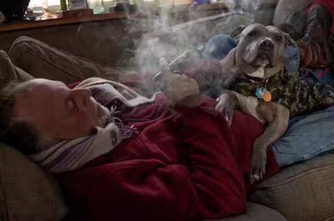 Paw-sitively Pure: Protecting Your Pets with uBreathe Air Purifier